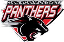 AtlantaPanthersw